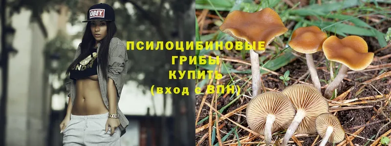 даркнет сайт  Тюмень  Псилоцибиновые грибы Psilocybe 